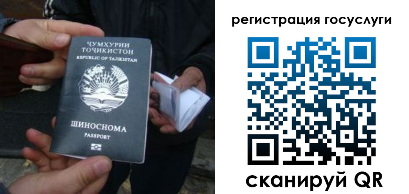 прописка регистрация в Суворове